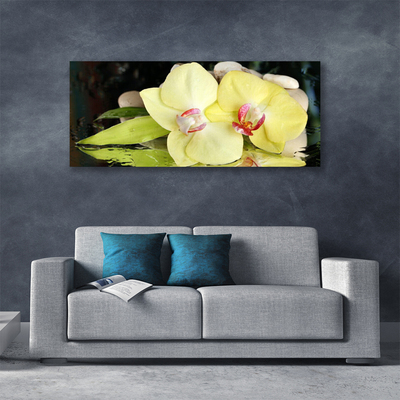 Cuadro en lienzo canvas Pétalos de flor orquídea