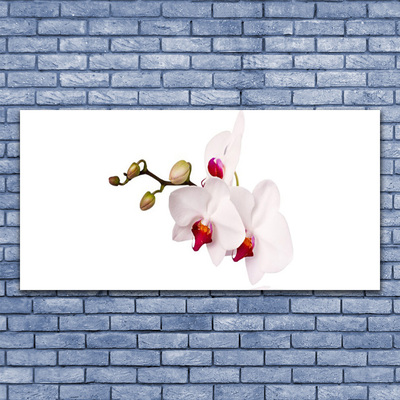 Cuadro en lienzo canvas Flores naturaleza orquídea