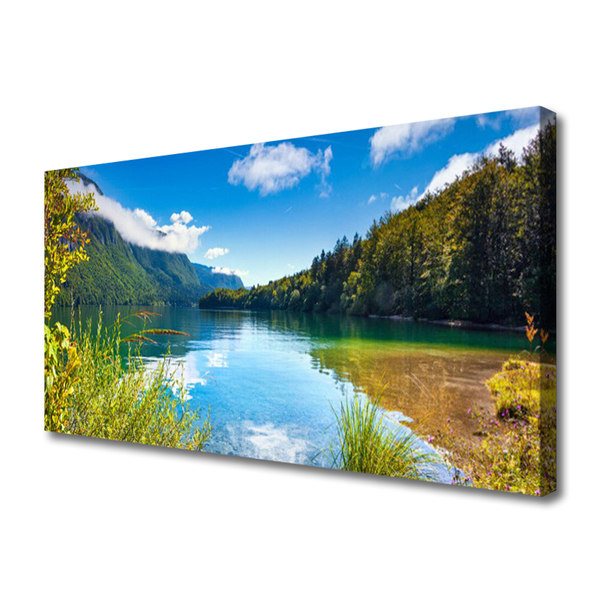 Cuadro en lienzo canvas Monte bosque naturaleza lago
