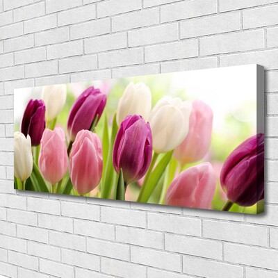 Cuadro en lienzo canvas Tulipanes flores naturaleza prado