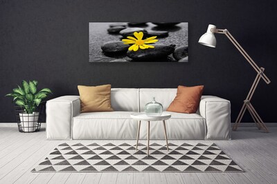 Cuadro en lienzo canvas Flor amarilla spa naturaleza