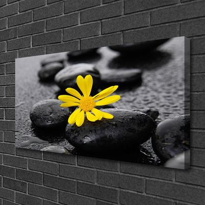 Cuadro en lienzo canvas Flor amarilla spa naturaleza