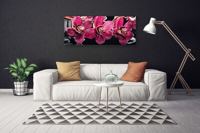 Cuadro en lienzo canvas Flores orquídea brotes naturaleza