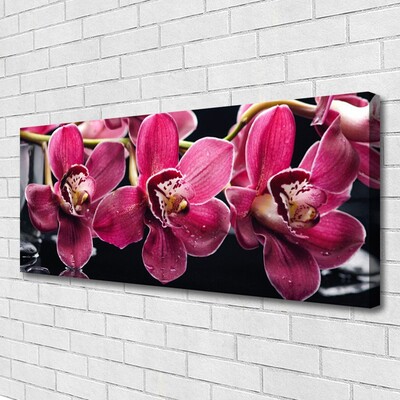 Cuadro en lienzo canvas Flores orquídea brotes naturaleza