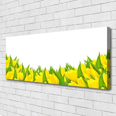 Cuadro en lienzo canvas Flores naturaleza tulipanes