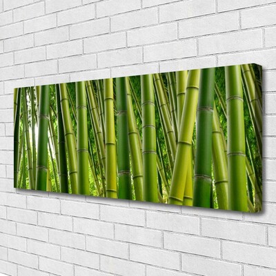 Cuadro en lienzo canvas Bosque de bambú brotes de bambú
