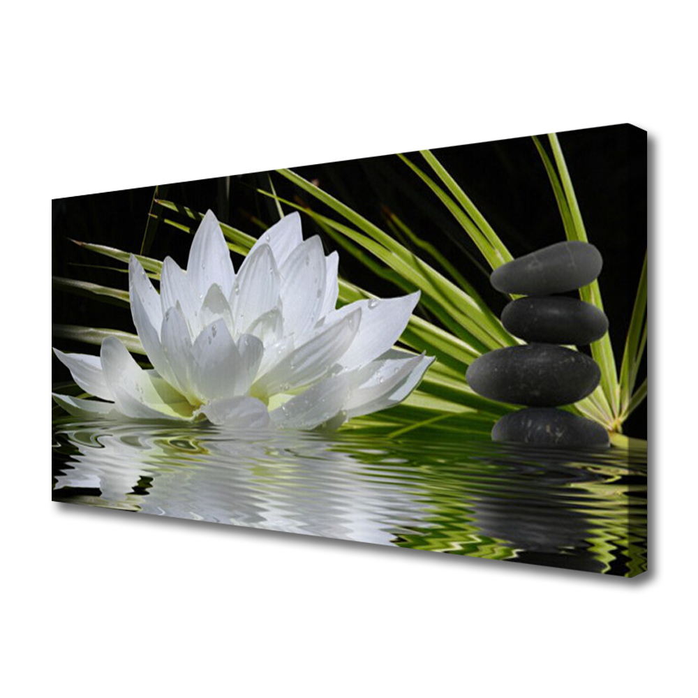 Cuadro en lienzo canvas Flores nenufar