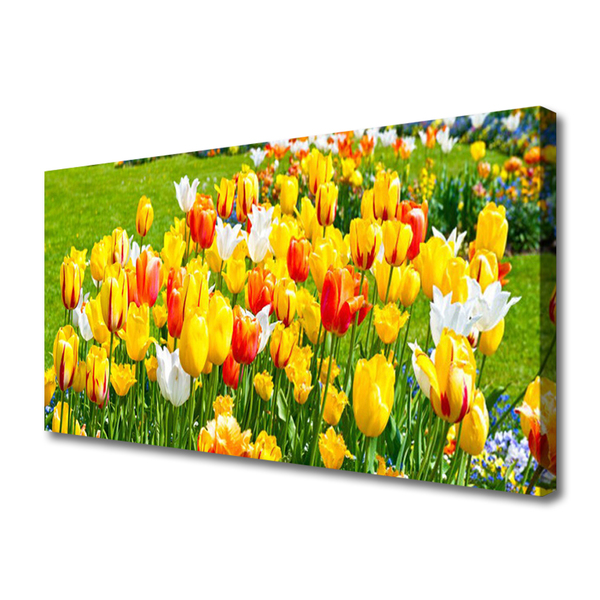 Cuadro en lienzo canvas Tulipanes flores naturaleza