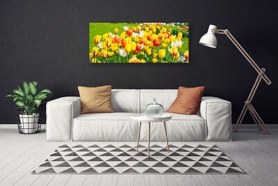 Cuadro en lienzo canvas Tulipanes flores naturaleza