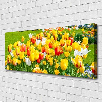 Cuadro en lienzo canvas Tulipanes flores naturaleza