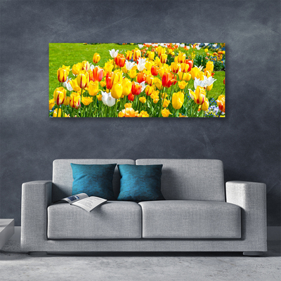 Cuadro en lienzo canvas Tulipanes flores naturaleza