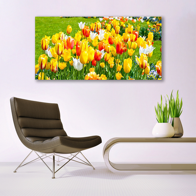 Cuadro en lienzo canvas Tulipanes flores naturaleza