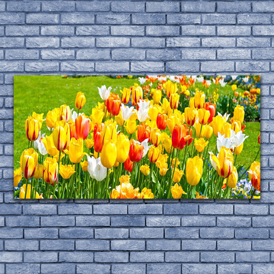 Cuadro en lienzo canvas Tulipanes flores naturaleza