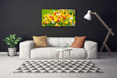 Cuadro en lienzo canvas Tulipanes flores naturaleza