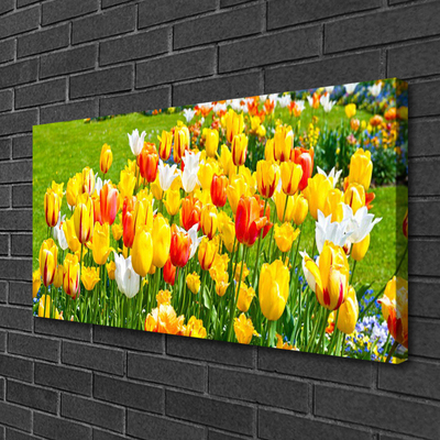 Cuadro en lienzo canvas Tulipanes flores naturaleza