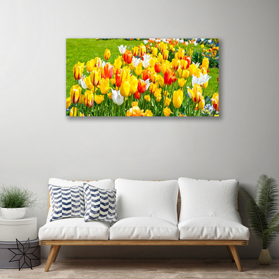 Cuadro en lienzo canvas Tulipanes flores naturaleza