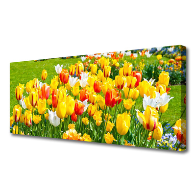 Cuadro en lienzo canvas Tulipanes flores naturaleza