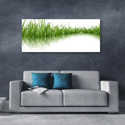 Cuadro en lienzo canvas Hierba naturaleza planta