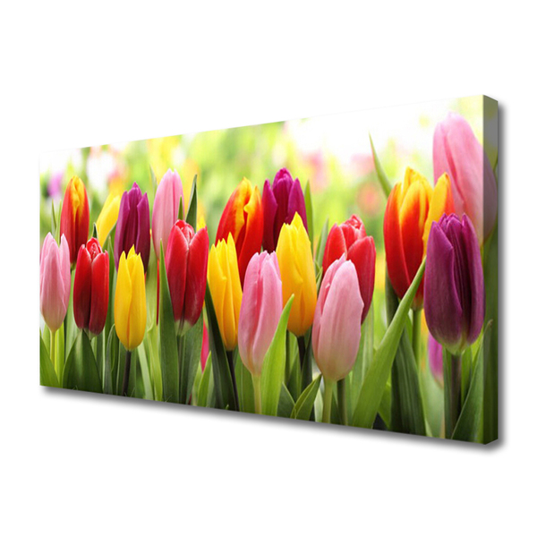 Cuadro en lienzo canvas Tulipanes flores naturaleza