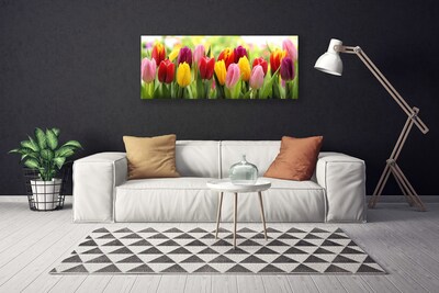 Cuadro en lienzo canvas Tulipanes flores naturaleza