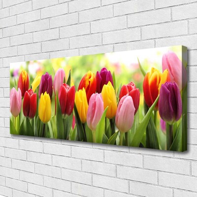 Cuadro en lienzo canvas Tulipanes flores naturaleza