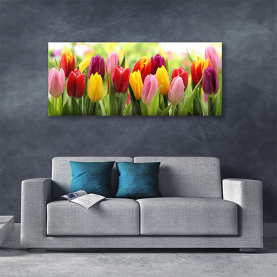 Cuadro en lienzo canvas Tulipanes flores naturaleza