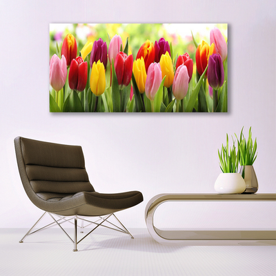 Cuadro en lienzo canvas Tulipanes flores naturaleza