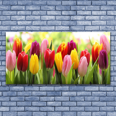 Cuadro en lienzo canvas Tulipanes flores naturaleza