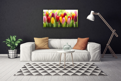 Cuadro en lienzo canvas Tulipanes flores naturaleza