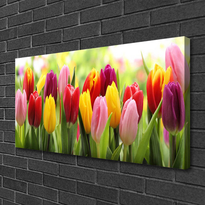 Cuadro en lienzo canvas Tulipanes flores naturaleza