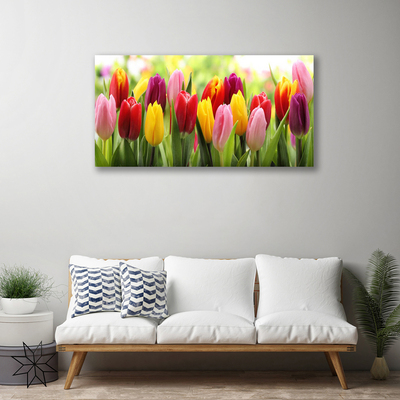 Cuadro en lienzo canvas Tulipanes flores naturaleza