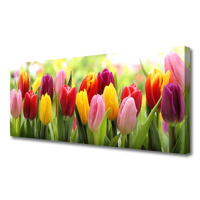 Cuadro en lienzo canvas Tulipanes flores naturaleza