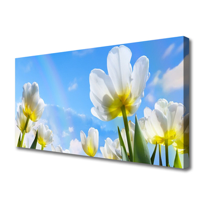 Cuadro en lienzo canvas Plantas flores tulipanes