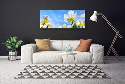 Cuadro en lienzo canvas Plantas flores tulipanes