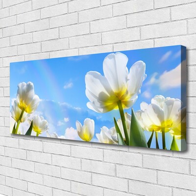 Cuadro en lienzo canvas Plantas flores tulipanes