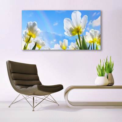 Cuadro en lienzo canvas Plantas flores tulipanes