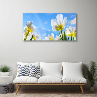 Cuadro en lienzo canvas Plantas flores tulipanes