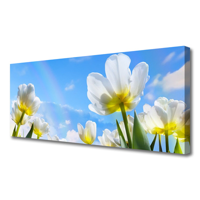 Cuadro en lienzo canvas Plantas flores tulipanes