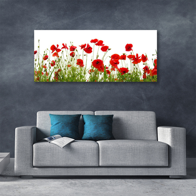 Cuadro en lienzo canvas Amapolas flores naturaleza planta