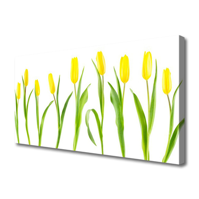 Cuadro en lienzo canvas Tulipanes amarillos flores