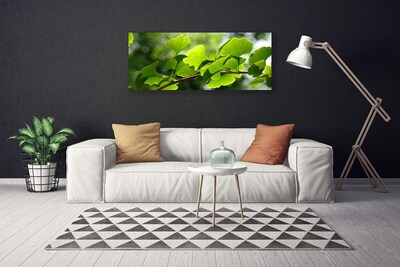 Cuadro en lienzo canvas Ramas hojas naturaleza árbol