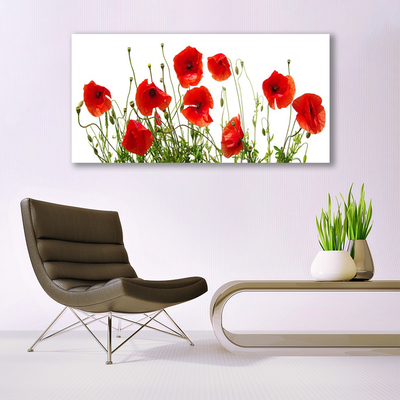 Cuadro en lienzo canvas Amapolas flores naturaleza planta
