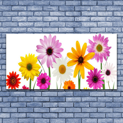 Cuadro en lienzo canvas Flores coloridas naturaleza