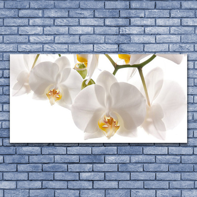 Cuadro en lienzo canvas Orquídea flores naturaleza