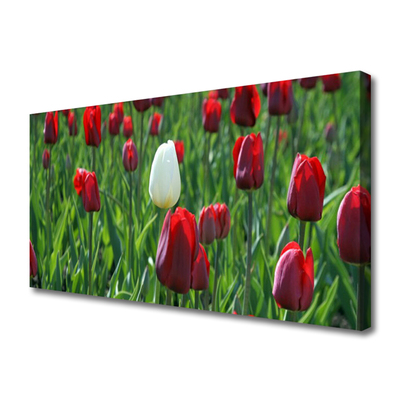 Cuadro en lienzo canvas Tulipanes flores naturaleza