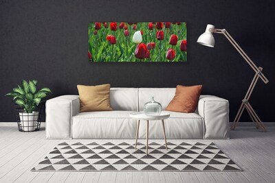 Cuadro en lienzo canvas Tulipanes flores naturaleza