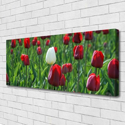 Cuadro en lienzo canvas Tulipanes flores naturaleza