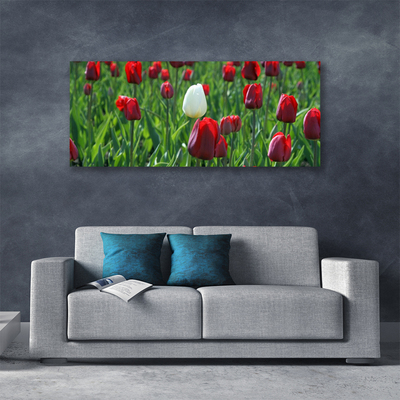 Cuadro en lienzo canvas Tulipanes flores naturaleza