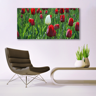 Cuadro en lienzo canvas Tulipanes flores naturaleza