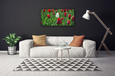 Cuadro en lienzo canvas Tulipanes flores naturaleza